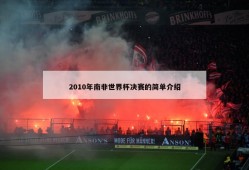 2010年南非世界杯决赛的简单介绍