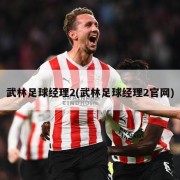 武林足球经理2(武林足球经理2官网)