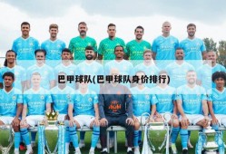 巴甲球队(巴甲球队身价排行)