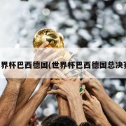 世界杯巴西德国(世界杯巴西德国总决赛)