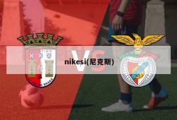 nikesi(尼克斯)