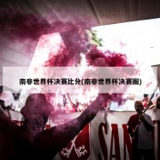 南非世界杯决赛比分(南非世界杯决赛圈)
