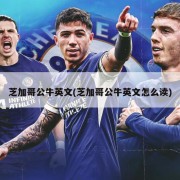 芝加哥公牛英文(芝加哥公牛英文怎么读)