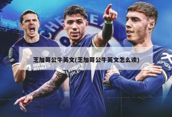 芝加哥公牛英文(芝加哥公牛英文怎么读)