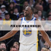 丹麦足球(丹麦足球俱乐部)