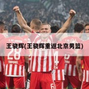 王骁辉(王骁辉重返北京男篮)