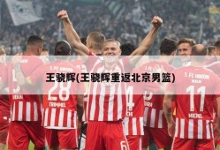 王骁辉(王骁辉重返北京男篮)