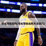 羽毛球拍选购(羽毛球拍选购方法技巧)
