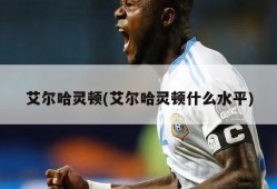 艾尔哈灵顿(艾尔哈灵顿什么水平)