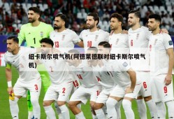 纽卡斯尔喷气机(阿德莱德联对纽卡斯尔喷气机)