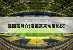 洛国富简介(洛国富采访引热议)