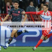 广州网球公开赛(广州网球公开赛官网)