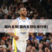 国内足球(国内足球队排行榜)