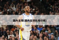 国内足球(国内足球队排行榜)