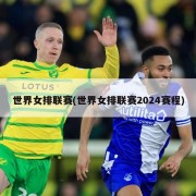 世界女排联赛(世界女排联赛2024赛程)