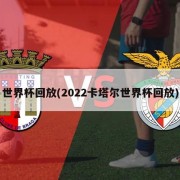 世界杯回放(2022卡塔尔世界杯回放)