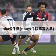 nba公牛队(nba公牛队阵容名单)
