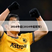 2014中超(2014中超冠军)