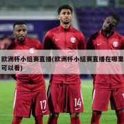 欧洲杯小组赛直播(欧洲杯小组赛直播在哪里可以看)