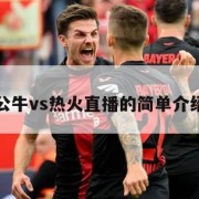 公牛vs热火直播的简单介绍