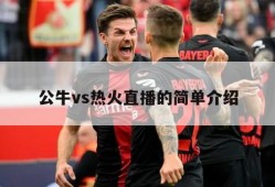 公牛vs热火直播的简单介绍