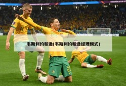 韦斯利约翰逊(韦斯利约翰逊经理模式)
