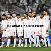 羽毛球女双决赛(世界羽毛球女单排名)