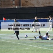 2014世界杯欧洲区预选赛(2014世界杯预选赛亚洲区20强)