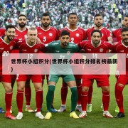 世界杯小组积分(世界杯小组积分排名榜最新)