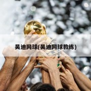 吴迪网球(吴迪网球教练)