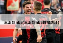 王治郅nba(王治郅nba数据统计)