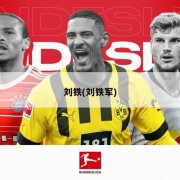 刘铁(刘铁军)