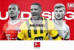 刘铁(刘铁军)