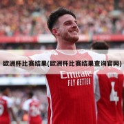 欧洲杯比赛结果(欧洲杯比赛结果查询官网)