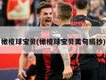 橄榄球宝贝(橄榄球宝贝美句摘抄)
