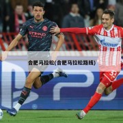 合肥马拉松(合肥马拉松路线)
