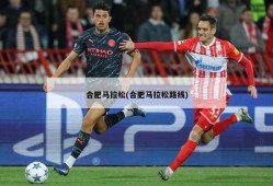 合肥马拉松(合肥马拉松路线)