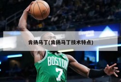 肯扬马丁(肯扬马丁技术特点)