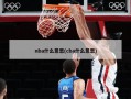 nba什么意思(cba什么意思)