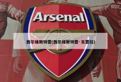 西尔维斯特雷(西尔维斯特雷·瓦雷拉)