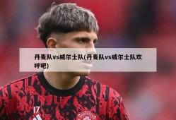 丹麦队vs威尔士队(丹麦队vs威尔士队欢呼吧)