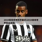 2010南非世界杯开幕式(2010南非世界杯全进球)