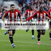 鲁迪费尔南德斯(鲁迪费尔南德斯为什么不打nba了)