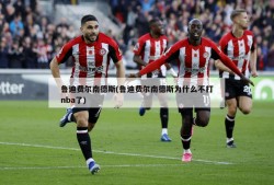 鲁迪费尔南德斯(鲁迪费尔南德斯为什么不打nba了)