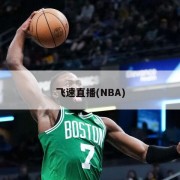 飞速直播(NBA)