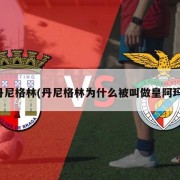 丹尼格林(丹尼格林为什么被叫做皇阿玛)
