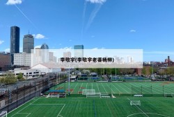 李敬宇(李敬宇老婆杨柳)