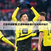 巴西甲级联赛(巴西甲级联赛什么时候开始打)
