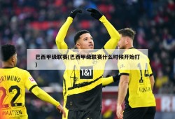 巴西甲级联赛(巴西甲级联赛什么时候开始打)