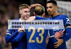 获得南非世界杯冠军(南非世界杯中哪个国家获得冠军)